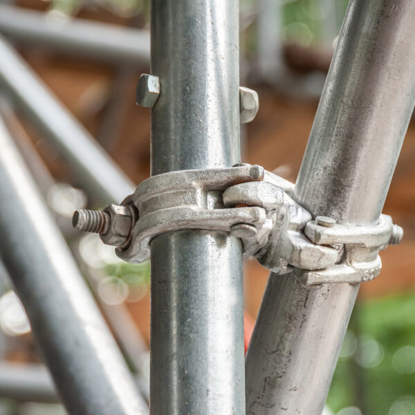 Shutterstock 1482113699 600x600